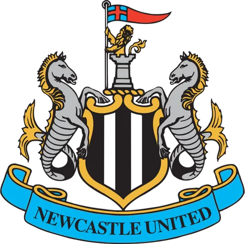 Logo for the 2015-16 Newcastle United