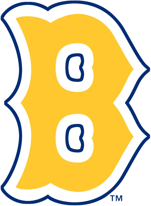 Logo for the 1939 Boston Bees