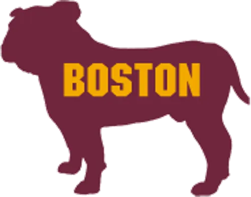 Logo for the 1929 Boston Bulldogs