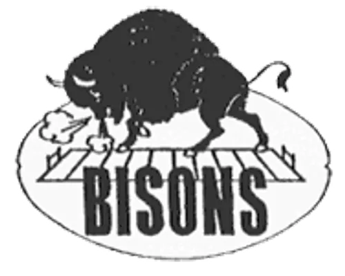 Logo for the 1923 Buffalo All-Americans