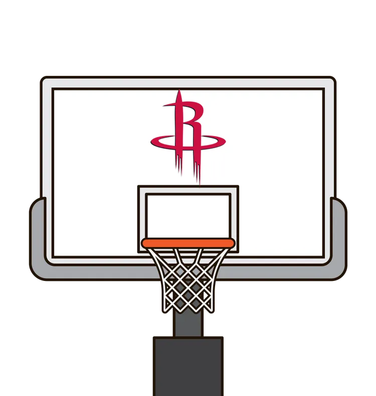 2010-11 Houston Rockets