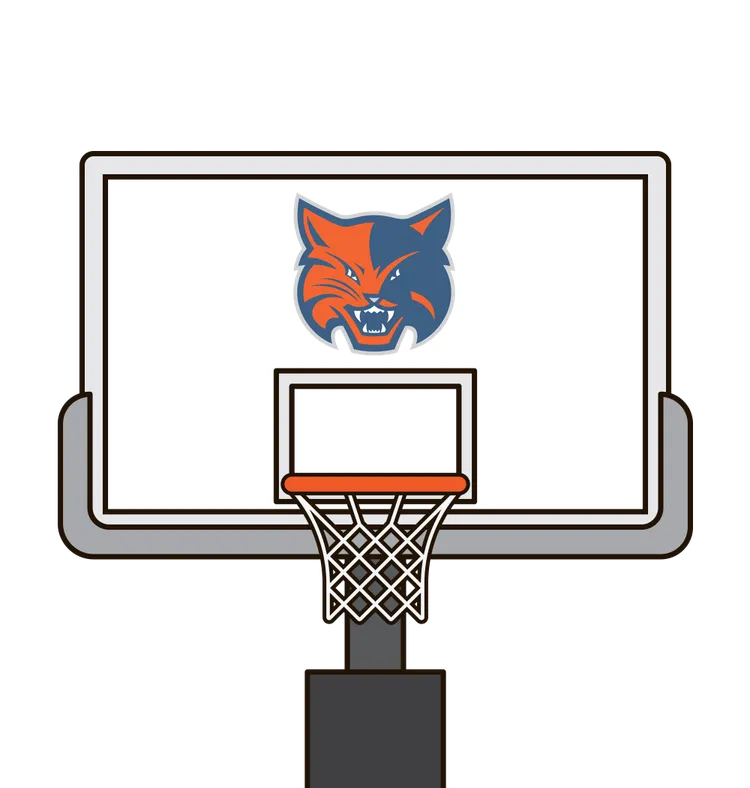 2008-09 Charlotte Bobcats
