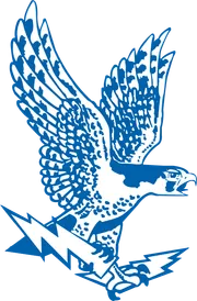 Air Force Falcons