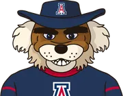 Illustration of Jordan McCord III wearing the Arizona Wildcats uniform