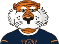 Auburn