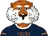 Auburn