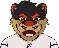 cincinnati bearcats vs baylor bears ncaa college football last 30 years