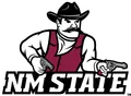 New Mexico State