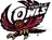 TEM