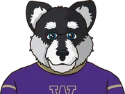Illustration of Jayden Limar wearing the Washington Huskies uniform