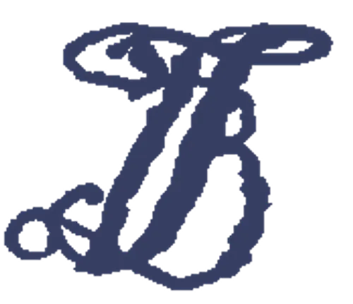 Logo for the 1884 Toledo Blue Stockings