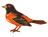 Orioles