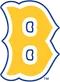 Boston Bees