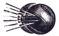 Bullets