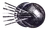 BAL