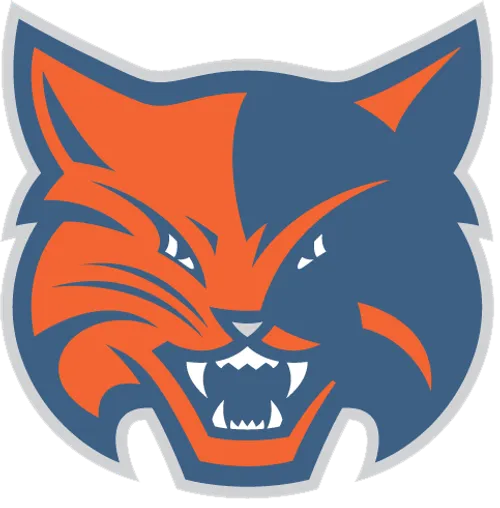 Logo for the 2006-07 Charlotte Bobcats