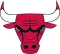 Chicago Bulls