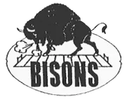 Buffalo Bisons