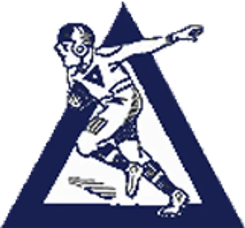 Logo for the Dayton Triangles