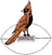 CHC