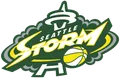 Storm